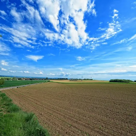 Апартаменты Schickes Chalet-apartment Mit Extra Schlafzimmer